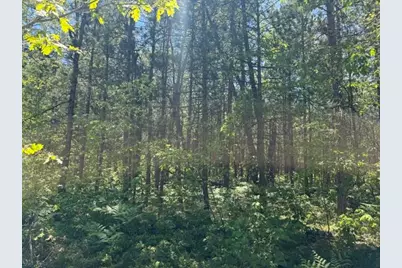 Parcel B W Usfs 5196, Baldwin, MI 49304 - Photo 6