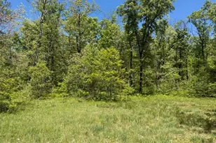 Parcel B W Usfs 5196, Baldwin, MI 49304 - Photo 1