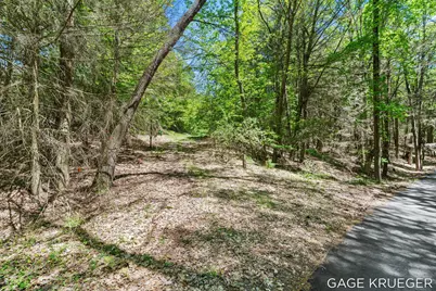 W Thomas Road, Shelby, MI 49455 - Photo 2