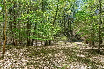 W Thomas Road, Shelby, MI 49455 - Photo 6