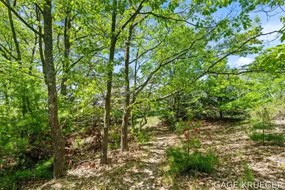 W Thomas Road, Shelby, MI 49455 - Photo 10