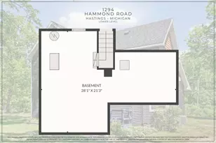 1294 Hammond Rd, Hastings, MI 49058 - Photo 48