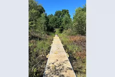 6081 Terry Drive, Six Lakes, MI 48886 - Photo 1