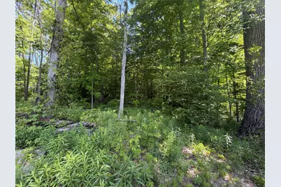 6306 Applewood Acres Drive NE, Comstock Park, MI 49321 - Photo 4
