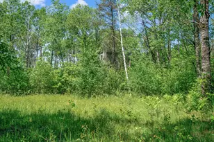 4955 N Thornapple Ave, White Cloud, MI 49349 - Photo 20