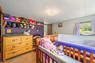 4955 N Thornapple Ave, White Cloud, MI 49349 - Photo 16