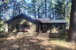 4701 S Spruce Ave, White Cloud, MI 49349 - Photo 2