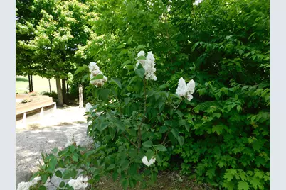 10653 Milarch Road, Bear Lake, MI 49614 - Photo 14