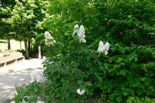 10653 Milarch Rd, Bear Lake, MI 49614 - Photo 14