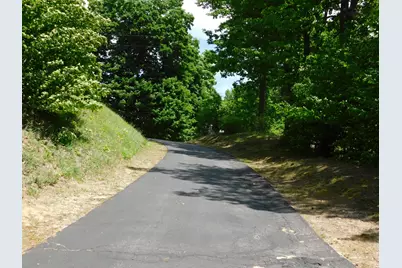 10653 Milarch Road, Bear Lake, MI 49614 - Photo 10