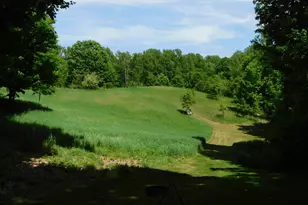 10653 Milarch Rd, Bear Lake, MI 49614 - Photo 12