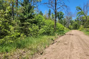 Vl Craig St, Baldwin, MI 49304 - Photo 1
