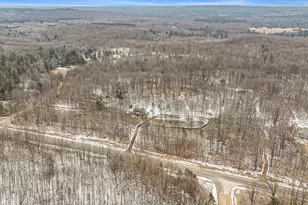 8851 E 8 Mile Rd, Luther, MI 49656 - Photo 2