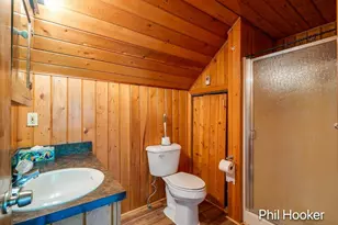 996 Prairie Creek Rd, Ionia, MI 48846 - Photo 18