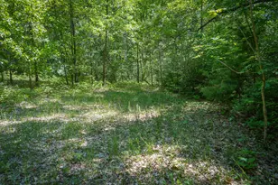 14308 Church Rd, Howard City, MI 49329 - Photo 20