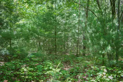 14308 Church Road, Howard City, MI 49329 - Photo 22