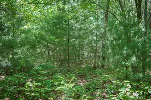 14308 Church Rd, Howard City, MI 49329 - Photo 22