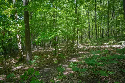 14308 Church Road, Howard City, MI 49329 - Photo 34