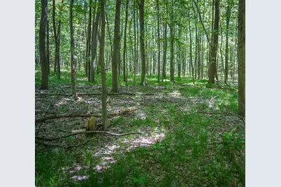 14308 Church Road, Howard City, MI 49329 - Photo 40