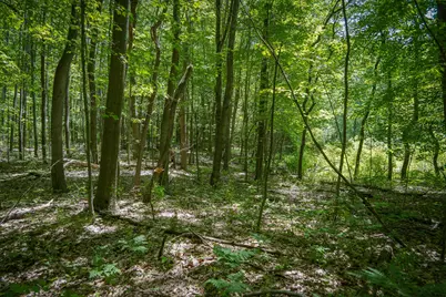 14308 Church Road, Howard City, MI 49329 - Photo 38