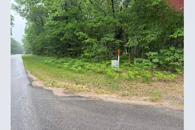 V/L E Sandra Kay Road, Fountain, MI 49410 - Photo 1