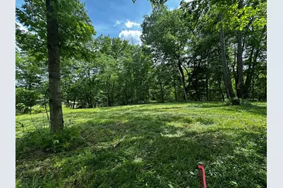 V/L S Norris Road, Delton, MI 49046 - Photo 1