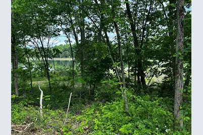 S Norris Road Road, Delton, MI 49046 - Photo 10