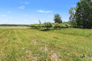 3516 N Ridge Rd, Mears, MI 49436 - Photo 8
