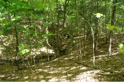 W Marshville Dam Road, Shelby, MI 49455 - Photo 6