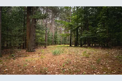 S 32nd Avenue, Shelby, MI 49455 - Photo 6