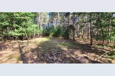 S 32nd Avenue, Shelby, MI 49455 - Photo 10
