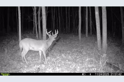 W 7 Mile Road, Irons, MI 49644 - Photo 12