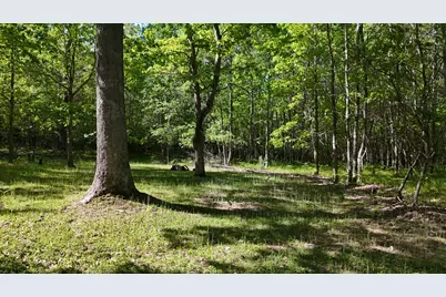 W 7 Mile Road, Irons, MI 49644 - Photo 8