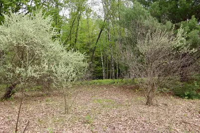 6153 S Branch Road, Branch, MI 49402 - Photo 50