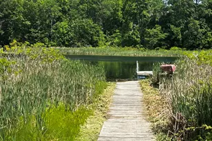6670 Tower Lake Road NE, Belding, MI 48809 - Photo 48