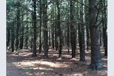 28.6A Red Apple Road, Manistee, MI 49660 - Photo 18
