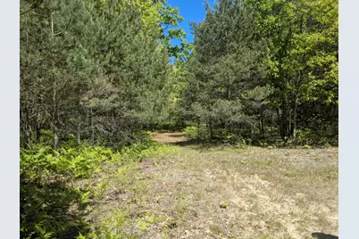 40Ac V/L Clements Road, Kaleva, MI 49645 - Photo 2