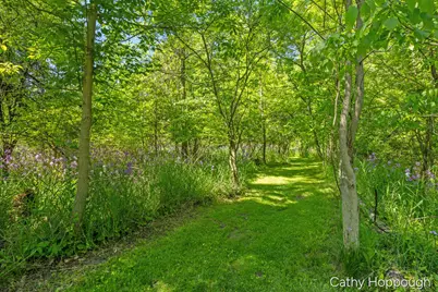 470 Caroline Street, Ionia, MI 48846 - Photo 54
