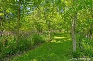 470 Caroline St, Ionia, MI 48846 - Photo 54