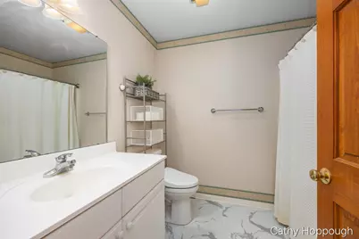 470 Caroline Street, Ionia, MI 48846 - Photo 30