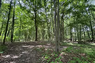 4477 104th Ave, Allegan, MI 49010 - Photo 32