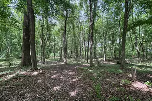 4477 104th Ave, Allegan, MI 49010 - Photo 34