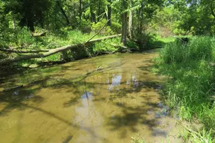 4670 Rescue Rd, Owendale, MI 48754 - Photo 86