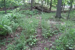 4670 Rescue Rd, Owendale, MI 48754 - Photo 52