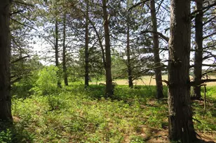 4670 Rescue Rd, Owendale, MI 48754 - Photo 74