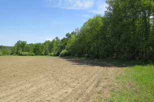 4670 Rescue Rd, Owendale, MI 48754 - Photo 68