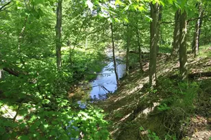 4670 Rescue Rd, Owendale, MI 48754 - Photo 82