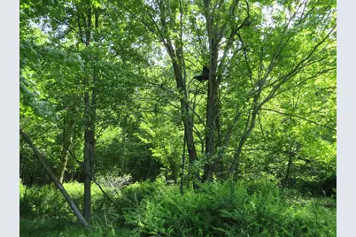 4670 Rescue Road, Owendale, MI 48754 - Photo 64