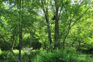 4670 Rescue Rd, Owendale, MI 48754 - Photo 64