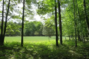 4670 Rescue Rd, Owendale, MI 48754 - Photo 60